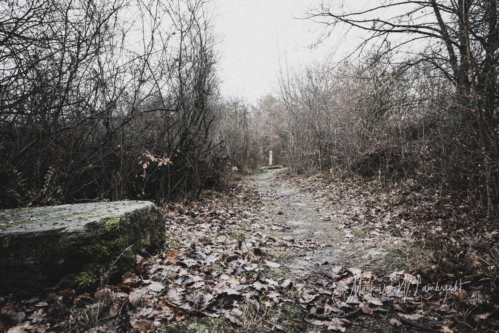 Bovenden, Jüdischer Friedhof